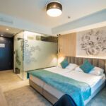 Camera twin standard cu aer condiționat (se poate solicita pat suplimentar)