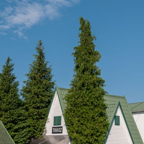 Se společnou kuchyňkou Family Roubenka (jako celek) pro 10 os.