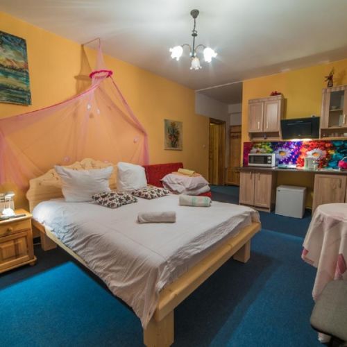 Camera tripla cu chicinetă proprie