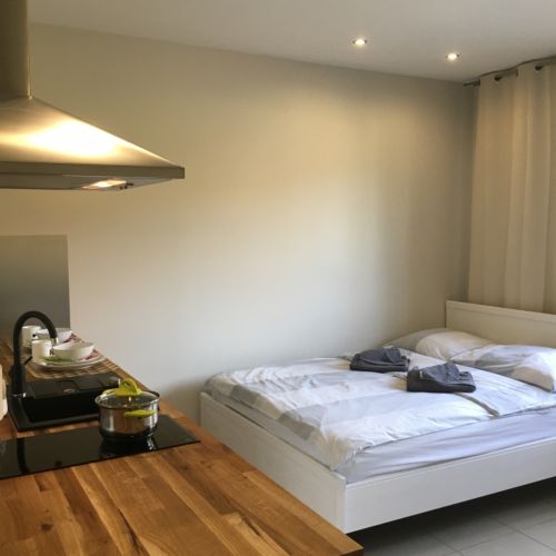 Studio  Apartman s manželskou postelí s 1 ložnicí