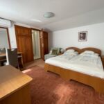 Apartman s klimatizací s terasou s manželskou postelí s 1 ložnicí (s možností přistýlky)