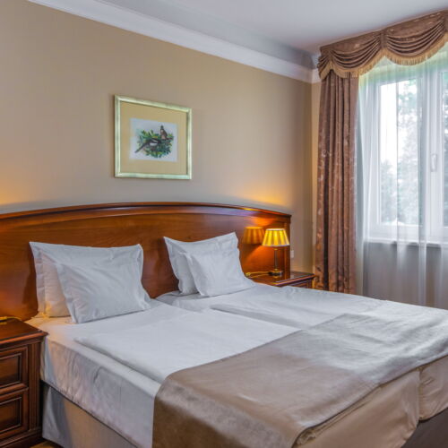 Camera twin classic conac (se poate solicita pat suplimentar)