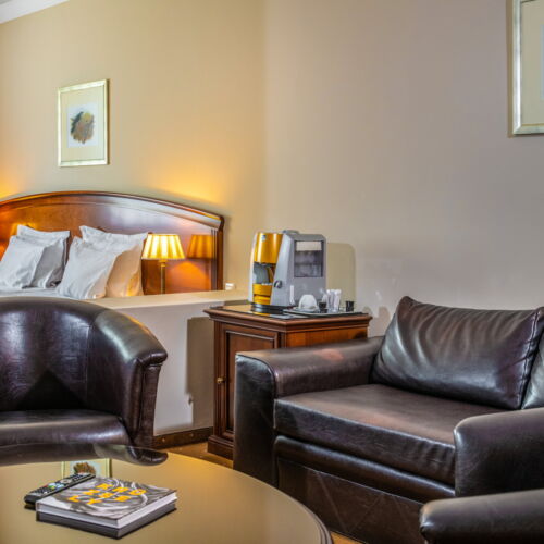 Camera twin deluxe conac (se poate solicita pat suplimentar)