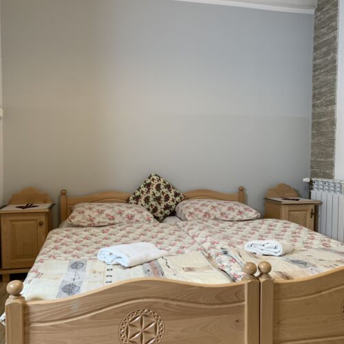 Camera twin familial(ă) la parter (se poate solicita pat suplimentar)