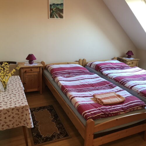 Standard Mansard Twin Room