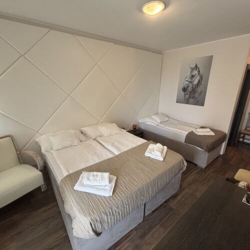 Standard Mansard Triple Room