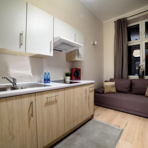 Apartament 2-osobowy Standard z 1 pomieszczeniem sypialnianym