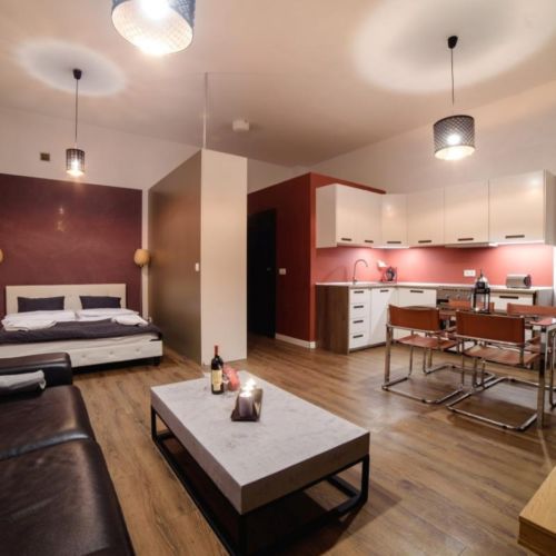 Apartament 2-osobowy z balkonem z 1 pomieszczeniem sypialnianym