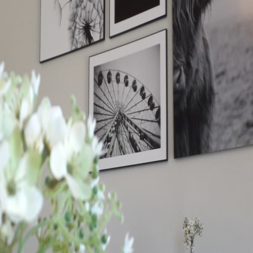 Camera dubla standard