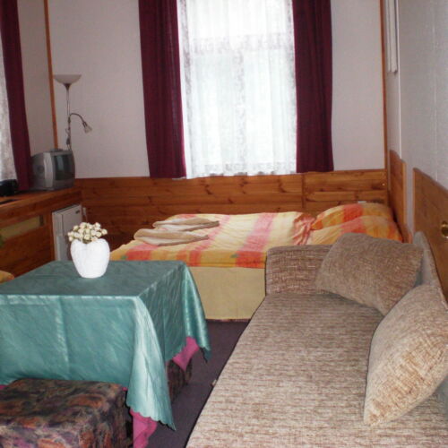 Twin Room with Shower and Shared Kitchenette