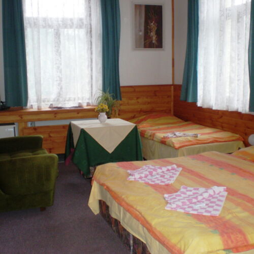 Triple Room with Shower and Shared Kitchenette