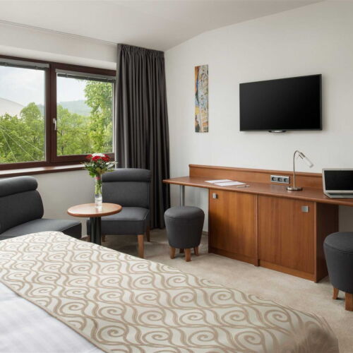 Deluxe Pokoj se sprchou s manželskou postelí