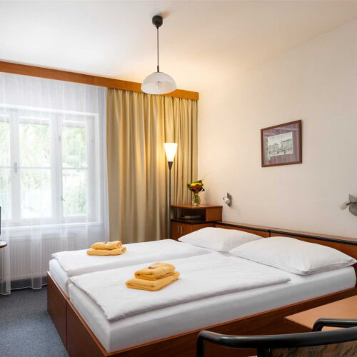 Standard Pokoj se sprchou s manželskou postelí