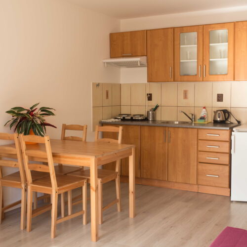 Apartament cu duș cu chicinetă proprie pentru 2 pers. (se poate solicita pat suplimentar)