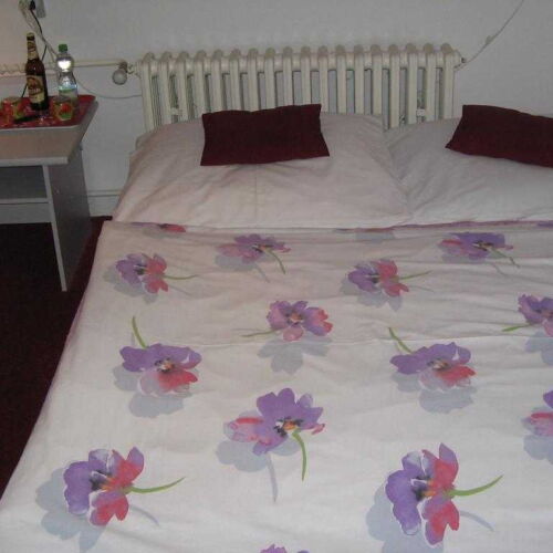 Pokoj se sprchou se společnou kuchyňkou s manželskou postelí