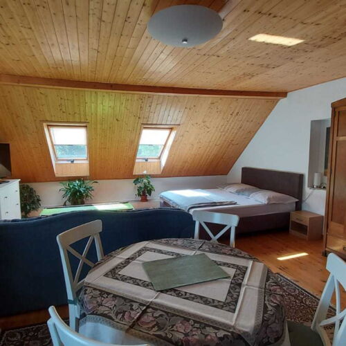 Pokoj se sprchou  pro 2 os.