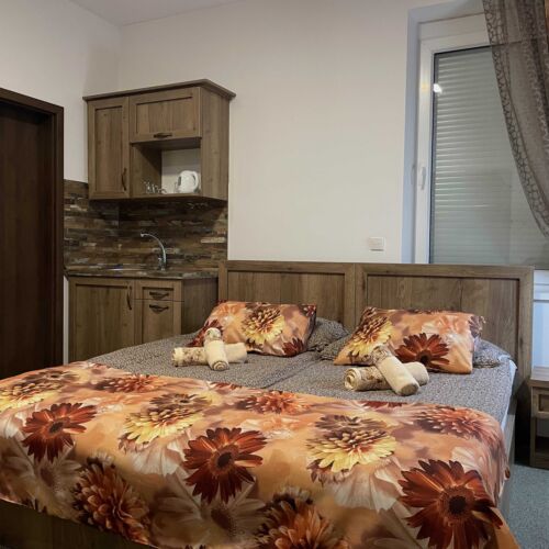 Premium Pokoj se sprchou pro 2 os.