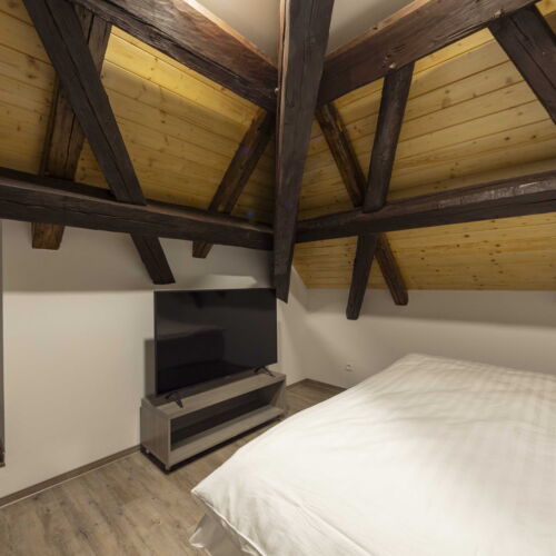 Twin Room with Shower (extra beds available)