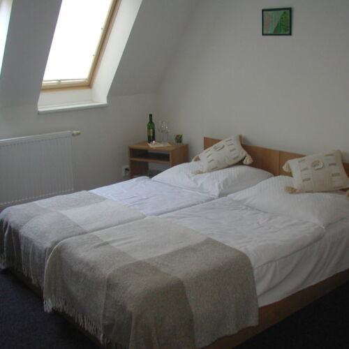 Pokoj se sprchou  pro 2 os.