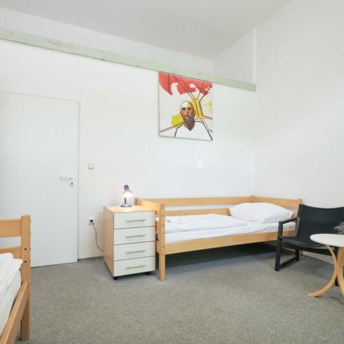 Twin Room with Shower and Kitchenette (extra bed available)