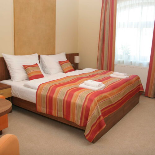 Camera twin cu duș (se poate solicita pat suplimentar)