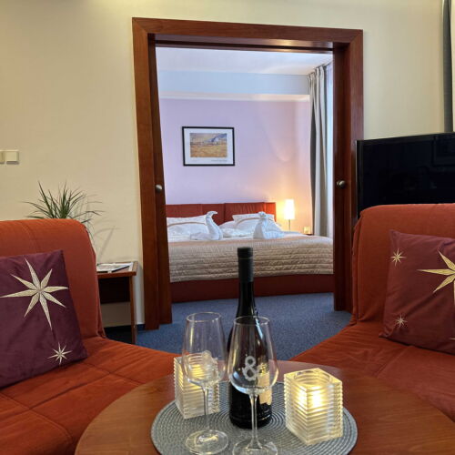 Apartament deluxe cu aer condiționat cu 1 camera pentru 4 pers. (se poate solicita pat suplimentar)