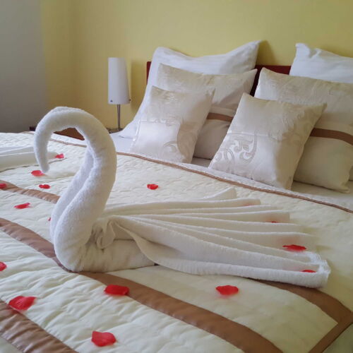 Camera single cu aer condiționat cu duș (se poate solicita pat suplimentar)