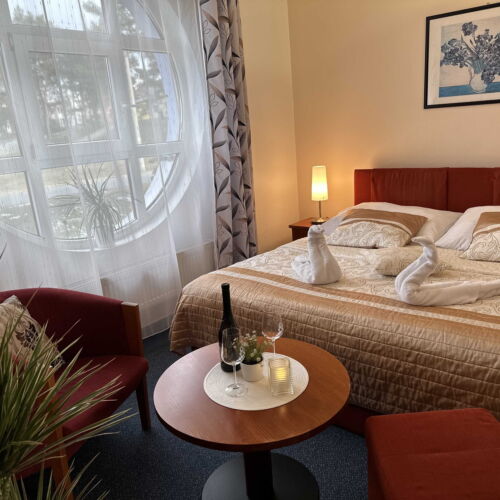 Camera dubla superior cu duș (se poate solicita pat suplimentar)