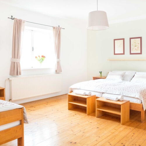 Pokoj se sprchou  pro 3 os. (s možností přistýlky)