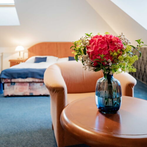 Standard Pokoj se sprchou pro 3 os.