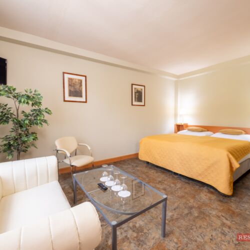 Triple Room with Shower (extra bed available)