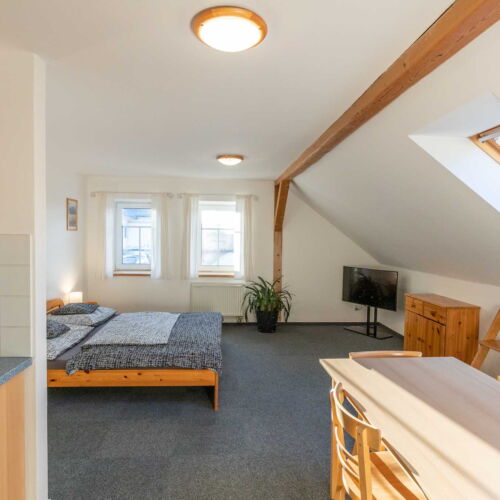 Apartman se sprchou s vlastní kuchyňkou pro 4 os. se 2 ložnicemi