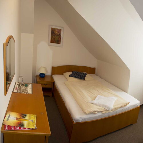 Pokoj se sprchou  pro 1 os.