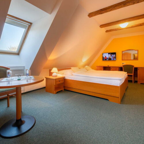 Pokoj se sprchou  pro 2 os.