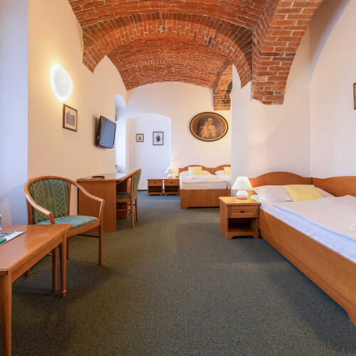 Pokoj se sprchou  pro 3 os.