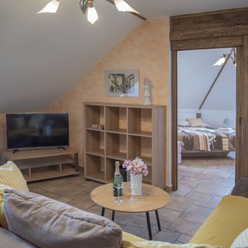 Apartman se sprchou s vlastní kuchyňkou pro 4 os. s 1 ložnicí (s možností přistýlky)