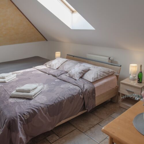 Pokoj s klimatizací s vanou s manželskou postelí (s možností přistýlky)