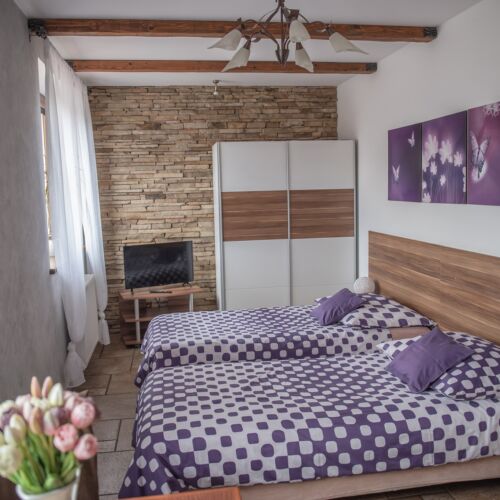 Studio Apartman s vlastní kuchyňkou pro 2 os. s 1 ložnicí