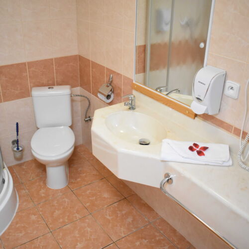 Pokoj s klimatizací se sprchou s manželskou postelí