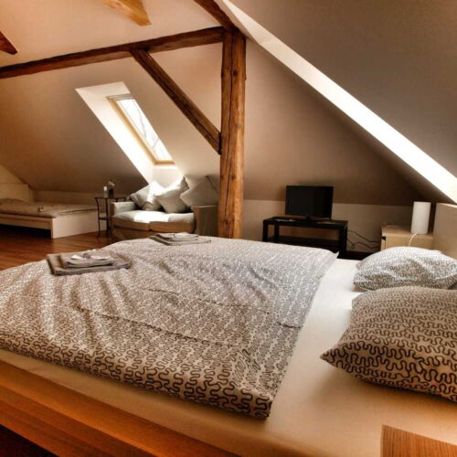 Pokoj se sprchou  pro 3 os.