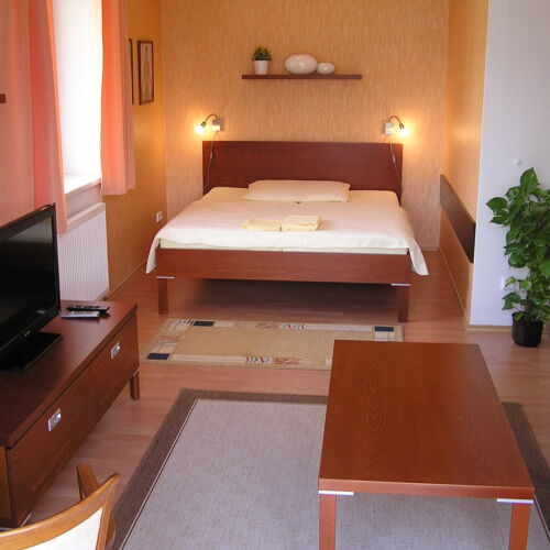 Apartament 2-osobowy Studio z prysznicem (możliwa dostawka)