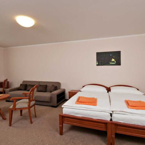 Standard Pokoj se sprchou pro 2 os.