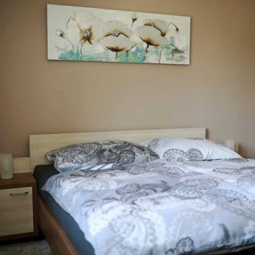 Pokoj s terasou se společnou kuchyňkou s manželskou postelí