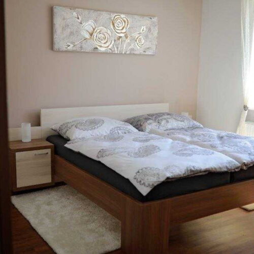 Pokoj s terasou se společnou kuchyňkou s manželskou postelí