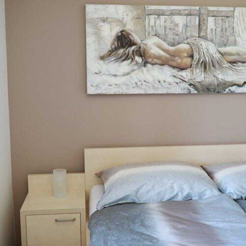 Apartman se sprchou s vlastní kuchyňkou s manželskou postelí s 1 ložnicí (s možností přistýlky)