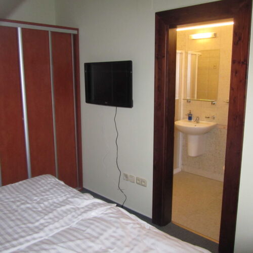 Apartament 2-osobowy z prysznicem z 1 pomieszczeniem sypialnianym