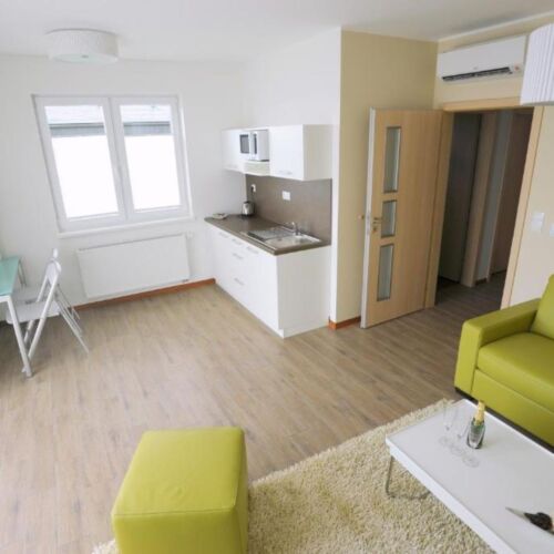 1-Room Apartment for 2 Persons with Shower and Kitchenette (extra bed available)