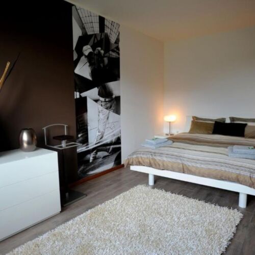 1-Room Apartment for 3 Persons with Shower and Kitchenette