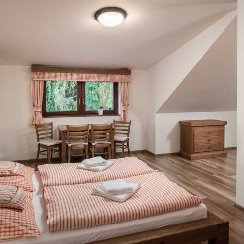 Pokoj se sprchou  pro 2 os. (s možností přistýlky)