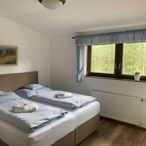 Deluxe Pokoj se sprchou pro 2 os. (s možností přistýlky)